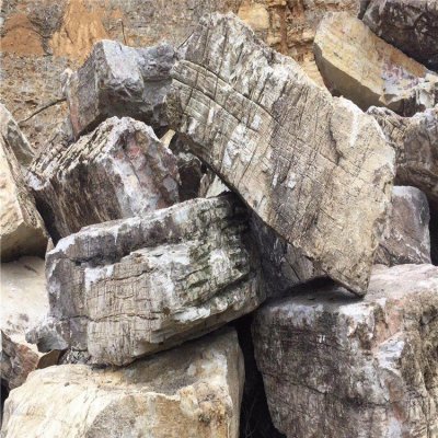 公园景区大型龟纹石石雕园林假山摆件 假山雕塑图片全集功能理念