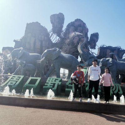 动物园门口玻璃钢仿真动物大象雕塑 