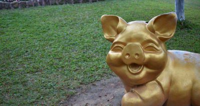 玻璃钢仿铜喷金烤漆动物猪雕塑 