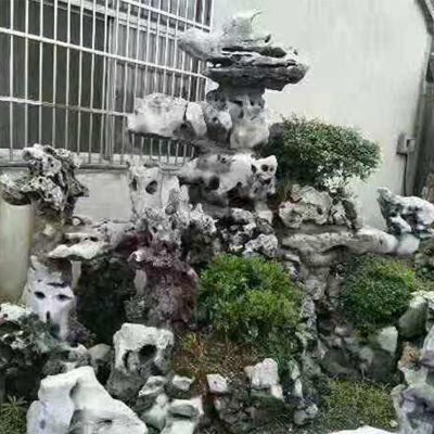 庭院别墅纯天然景观造景摆件珊瑚石假山雕塑