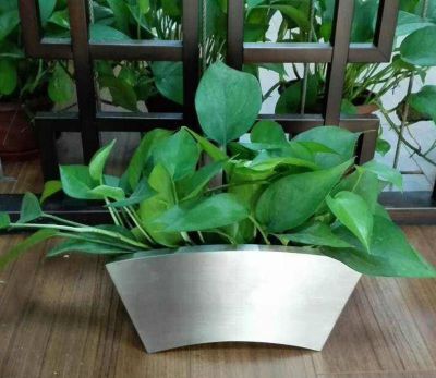 酒店商场摆放不锈钢拉丝工艺品长形花盆 花盆雕塑厂家蔬菜鲜花图纸