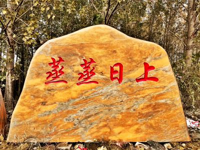 村庄摆放雕刻字黄蜡石景观雕塑 景观雕塑小品肖像微型背景
