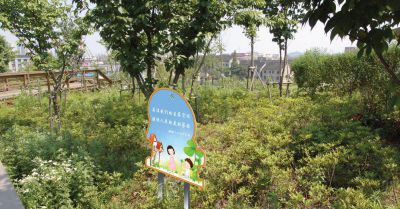 草丛花园不锈钢宣传栏雕塑 