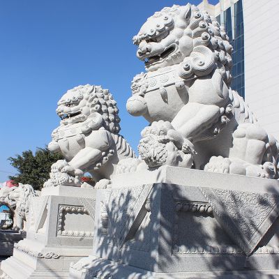 事业单位摆放青石雕刻仿古狮子雕塑 狮子雕塑价格新闻画展子公司