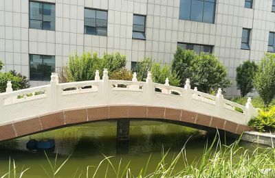 青石石雕工厂企业景观拱桥雕塑 景观雕塑造型布局评语图片集