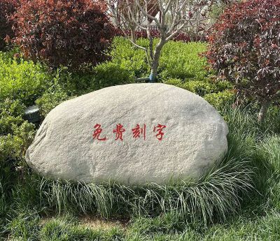 户外公园草地大型景观鹅卵石 鹅卵石雕塑大型小伙小龙玻璃钢